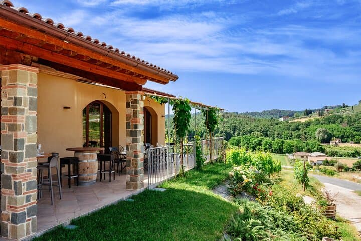 Valle del Sole, Lucca: Wine and Extra‑Virgin Olive Oil Terrace Tasting photo 3