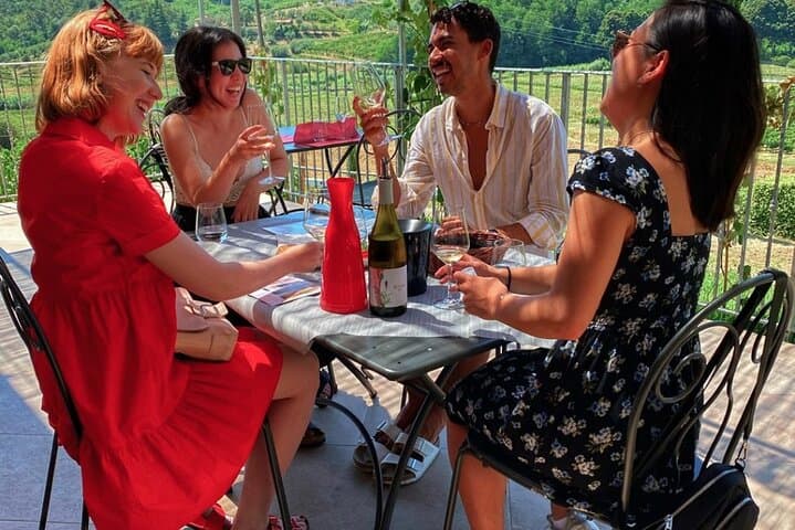 Valle del Sole, Lucca: Wine and Extra‑Virgin Olive Oil Terrace Tasting