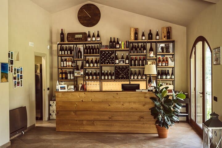 Valle del Sole, Lucca: Wine and Extra‑Virgin Olive Oil Terrace Tasting photo 4