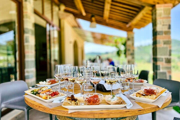 Valle del Sole Winery Tour: 6-Wine Tasting & Olive Oil Experience near Lucca