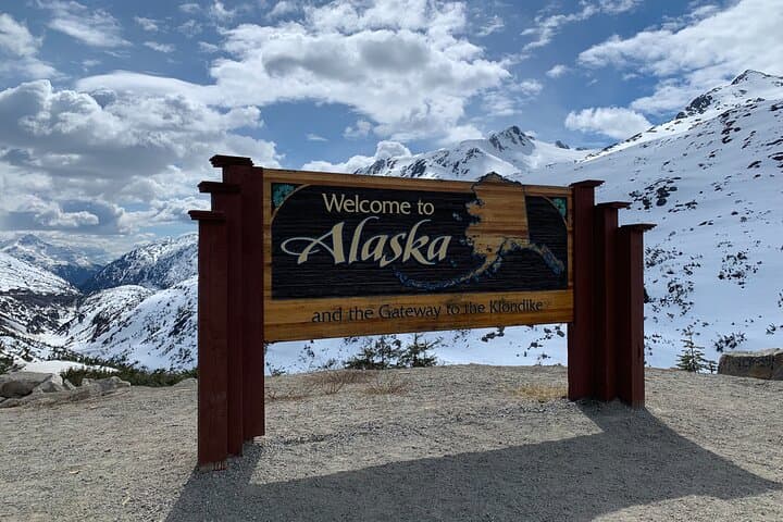 Yukon Suspension Bridge & White Pass Summit Half-Day Tour from Skagway photo 6