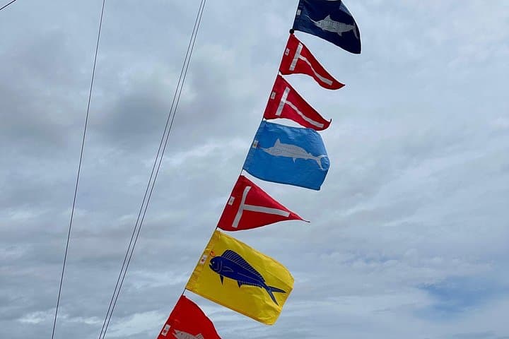 Kona 6-Hour Big-Game Fishing Charter aboard the Kona Cowboy photo 3