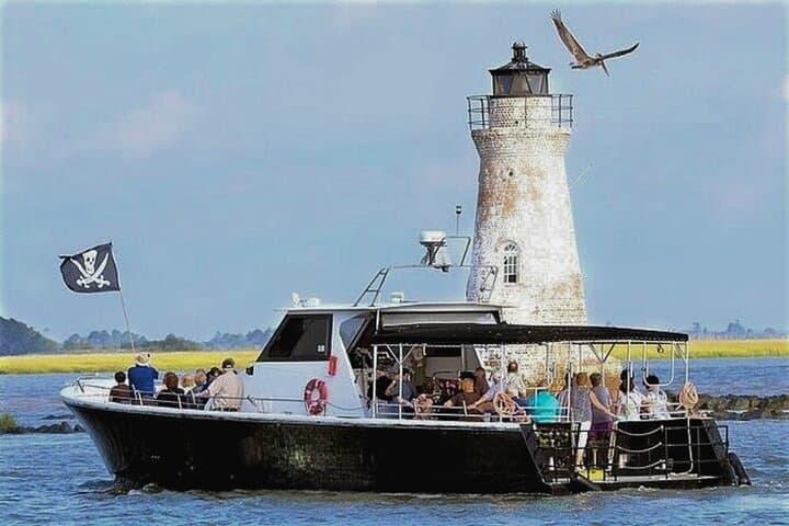 Savannah to Tybee Island Dolphin Cruise: Half-Day Trolley, Sea Air, and Lighthouse Views photo 2