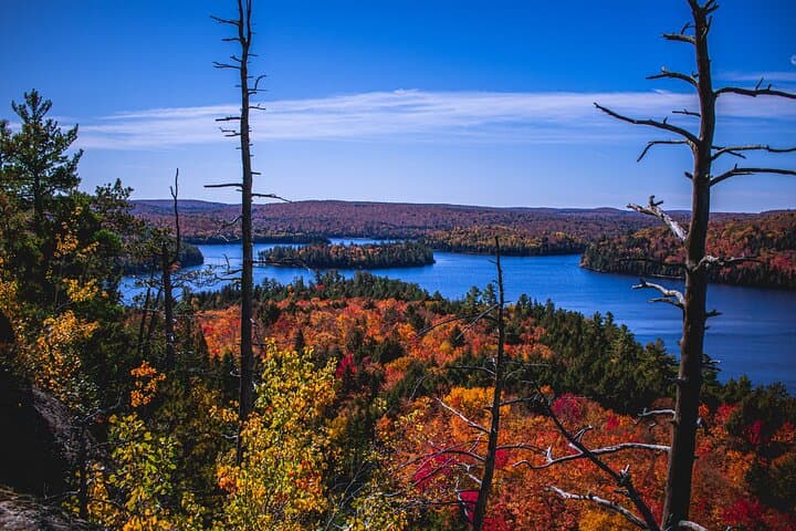 Explore Algonquin Provincial Park: A Full-Day Immersion into Ontario’s Wilderness