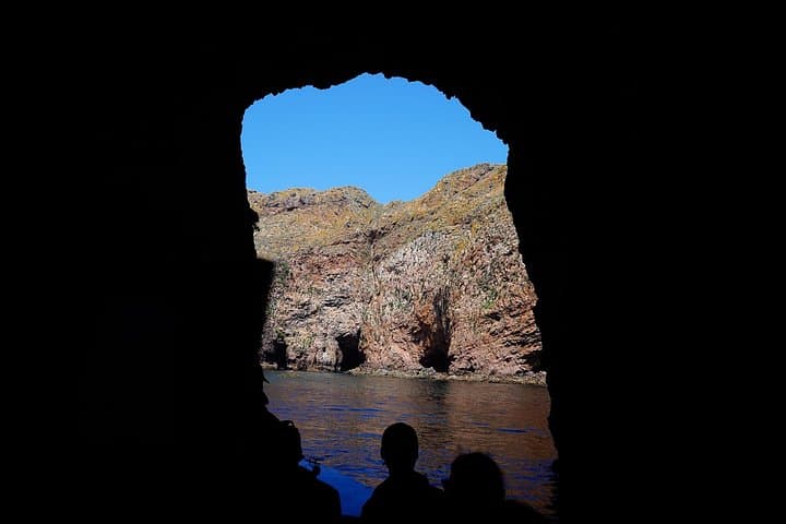 Day Trip to the Berlengas Islands from Lisbon — Boat, Fort & Coastal Trails photo 3