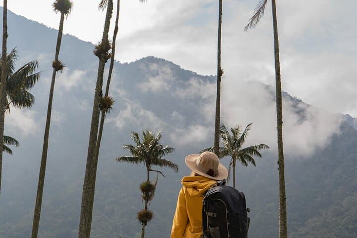 Hiking Cocora Valley: Wax Palms, Willys & Cloud-Forest Trails photo 2