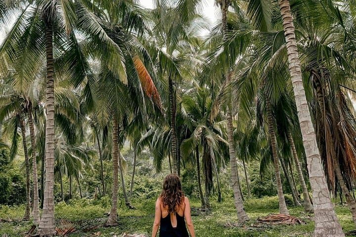 Tayrona Park Day Hike to Cabo San Juan — Beaches, Reefs & Caribbean Lunch photo 2