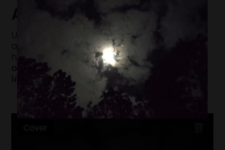 St. Augustine Ghost-Hunting Golf Cart Tour — Private Lincolnville Paranormal Investigation photo 3