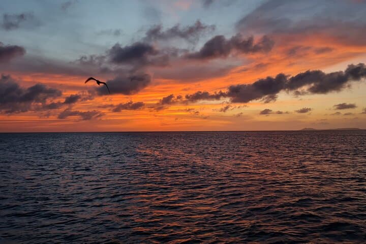 Private Sunset Sail Along Bonaire's Coastal Marine Park photo 5