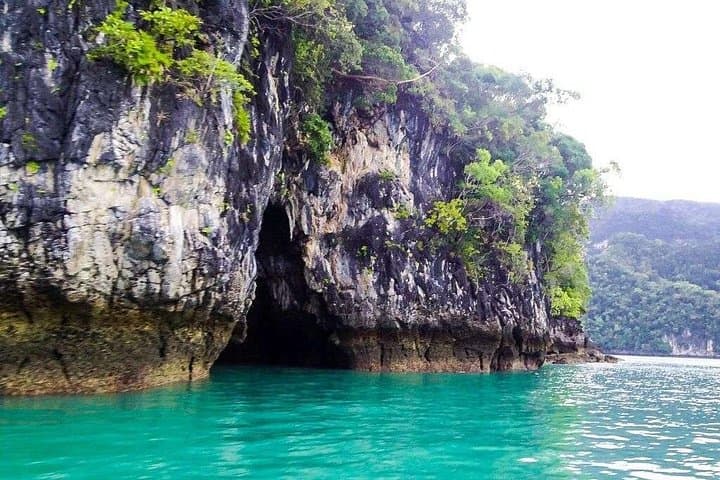 Kilim River Mangrove & Bat Cave Cruise — Langkawi Wildlife Boat Tour photo 2