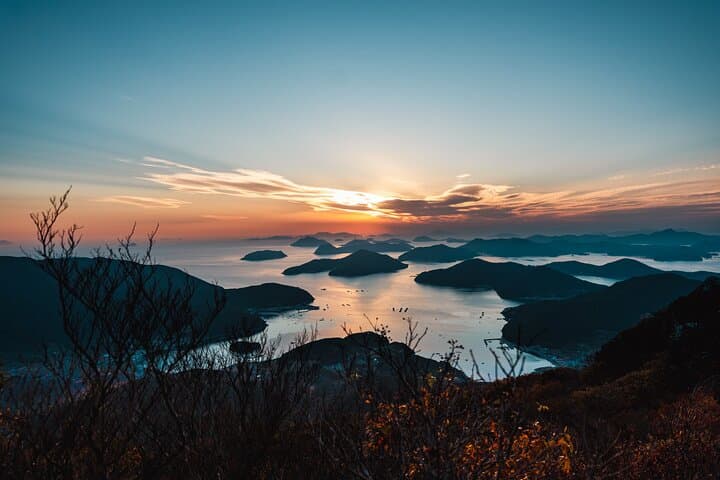 Oedo Botania Day Trip from Busan — Geoje Island Gardens & Coastal Sights photo 6