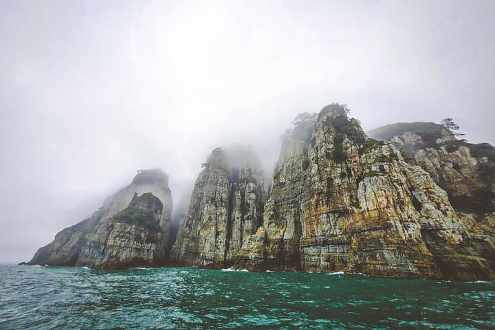 Oedo Botania Day Trip from Busan — Geoje Island Gardens & Coastal Sights photo 5