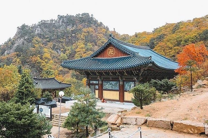 Private Van to Mount Seorak, Naksansa & Sokcho Day Trip (Up to 14 Pax) photo 3