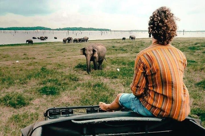 Yala National Park Jeep Safari from Galle — Day Trip Wildlife Adventure photo 2