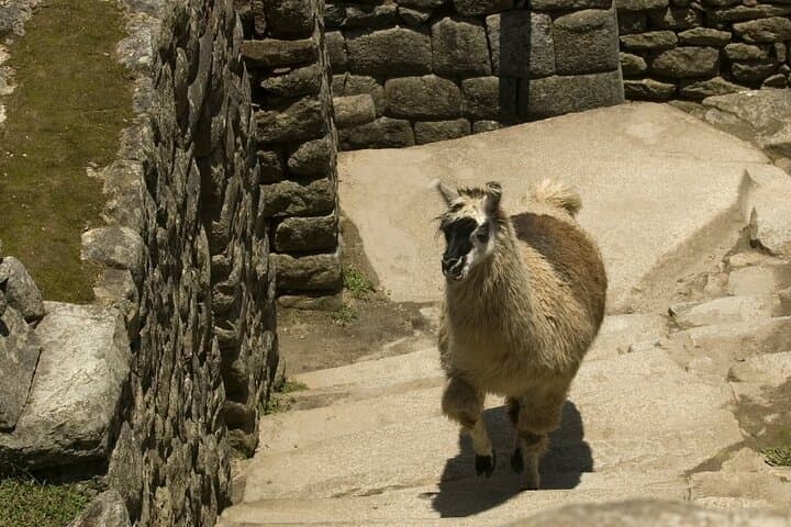 2-Day Panoramic Train to Machu Picchu: Aguas Calientes Overnight Tour photo 6