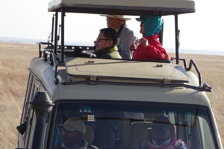 Private Maasai Mara Game Drive — Full-Day Safari with Local Guide