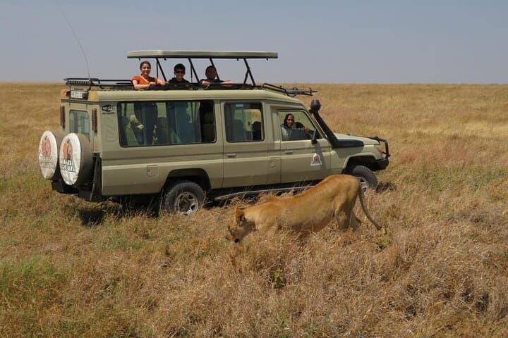 Private Maasai Mara Game Drive — Full-Day Safari with Local Guide photo 4