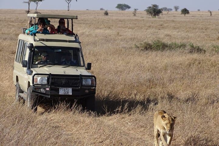 Private Maasai Mara Game Drive — Full-Day Safari with Local Guide photo 5