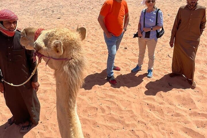Full-Day Tour Petra and Wadi Rum from Amman — Private Petra Visit & Wadi Rum Jeep Safari photo 5