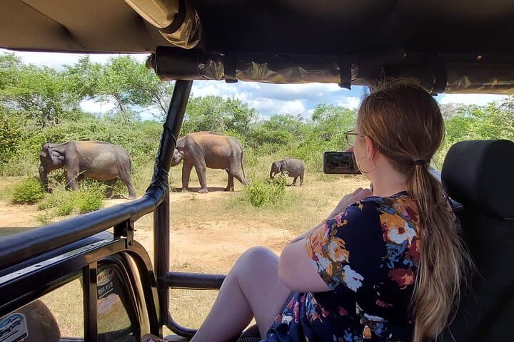Udawalawe National Park Safari from Colombo — Elephant Encounters & Grassland Game Drive photo 1