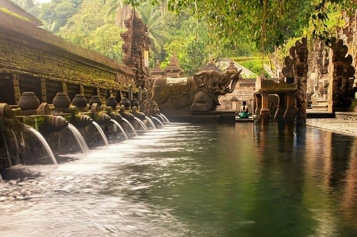 Ubud Swing, Rice Terraces & Sacred Springs — Private Full-Day Tour photo 6