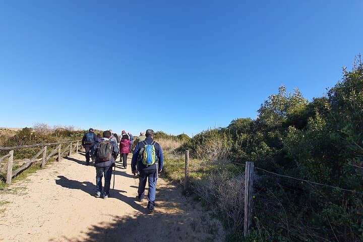Vendicari Nature Reserve Private Birdwatching Excursion: Tonnara, Salt Pans & Flamingos photo 5