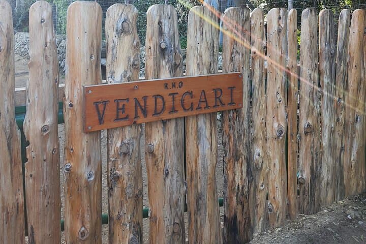 Vendicari Nature Reserve Private Birdwatching Excursion: Tonnara, Salt Pans & Flamingos photo 6
