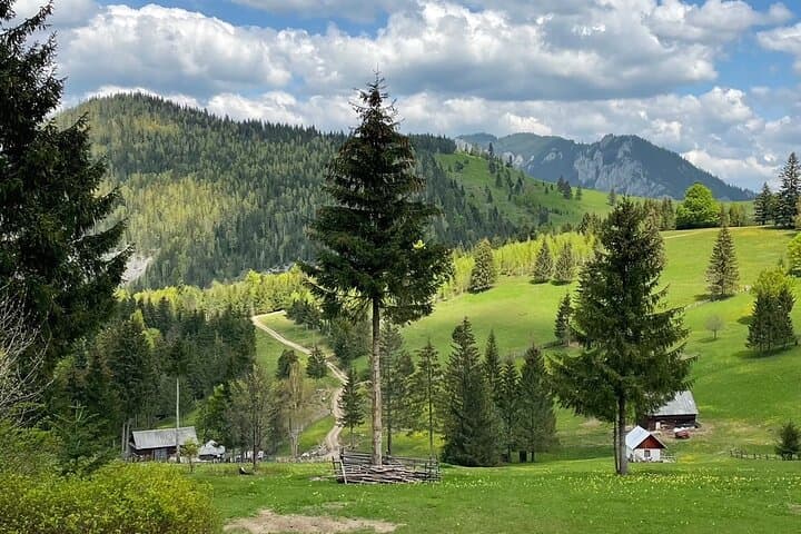 Bicaz Gorges & Hasmas Mountains: 10-Hour Hiking Day Trip from Iasi photo 5