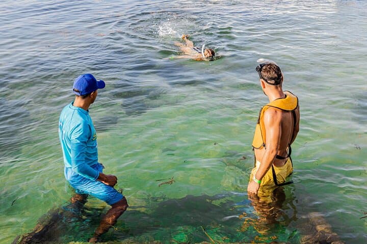 5-in-1 Cancun Snorkeling Tour: Swim with Turtles, Explore MUSA, a Shipwreck & Cenote photo 2
