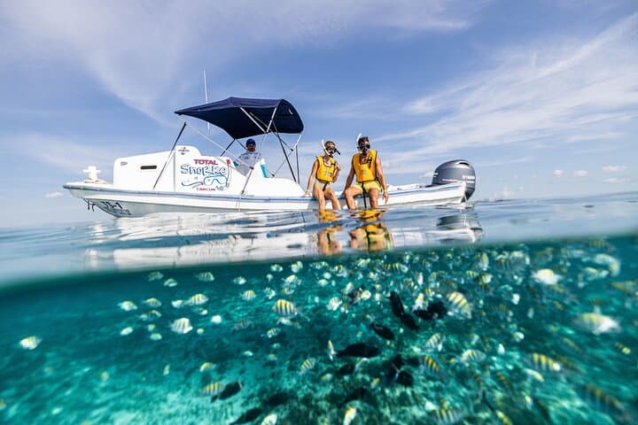 5-in-1 Cancun Snorkeling Tour: Swim with Turtles, Explore MUSA, a Shipwreck & Cenote photo 6