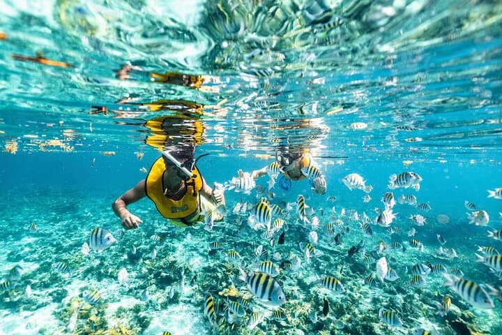 5-in-1 Cancun Snorkeling Tour: Swim with Turtles, Explore MUSA, a Shipwreck & Cenote photo 4