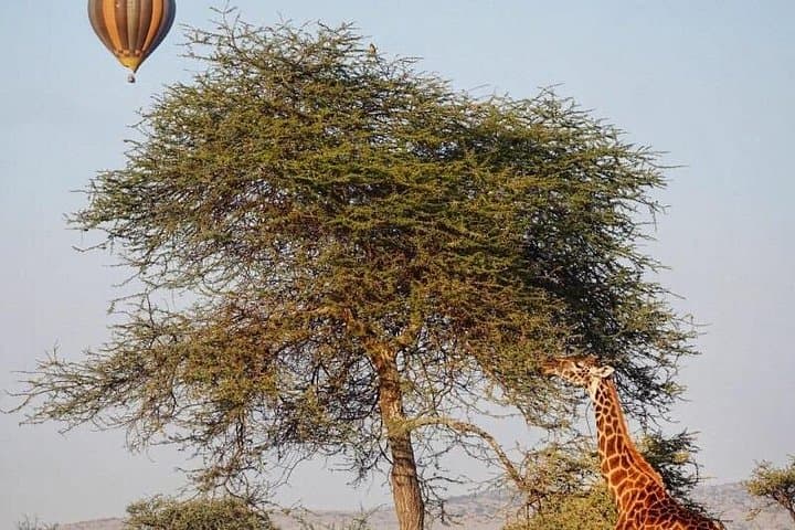 3-Day Group Safari: Serengeti & Ngorongoro Camping Adventure photo 4