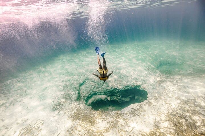 Puerto Morelos Snorkeling with Turtles and Stingrays: Reef Tour Guide photo 4