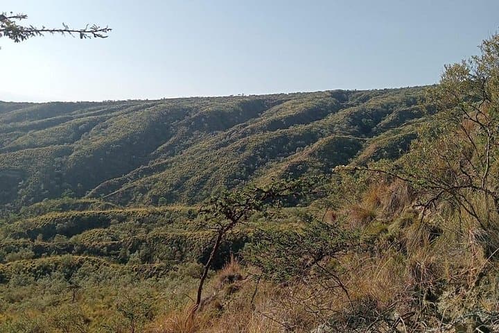 Hike Mount Longonot & Boat Lake Naivasha: Day Trip from Nairobi photo 3