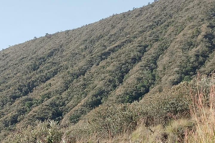 Hike Mount Longonot & Boat Lake Naivasha: Day Trip from Nairobi photo 4