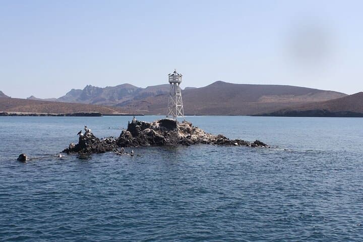 Balandra Beach Snorkeling & Sea Lion Tour from La Paz photo 2