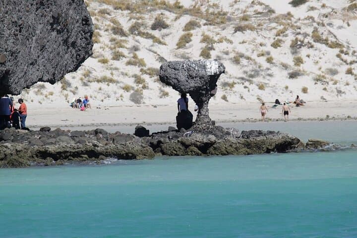Balandra Beach Snorkeling & Sea Lion Tour from La Paz photo 4