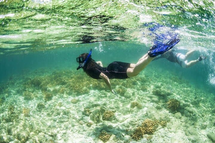 Balandra Beach Snorkeling & Sea Lion Tour from La Paz photo 5