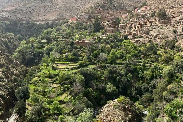 Atlas Mountains Day Hike & Berber Village Lunch from Marrakech photo 6