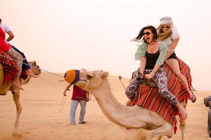 Marsa Alam Desert Quad Ride and Camel Experience — 3-Hour Adventure photo 4