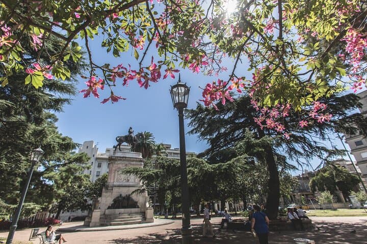 Montevideo Private Full-Day Tour from Buenos Aires: Ferry, Old Town & Beaches photo 6