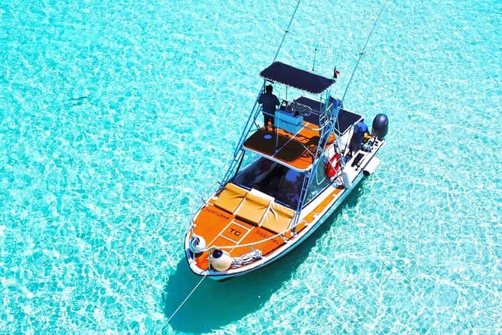 El Cielo Snorkel: Private Boat to Cozumel’s Reefs and Secluded White Sand photo 3
