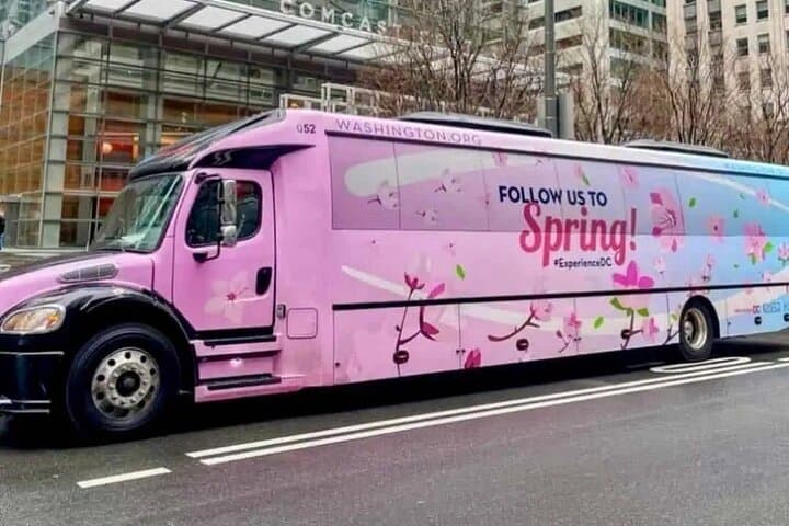 Washington DC Cherry Blossom Bus Tour and Tidal Basin Guided Walk photo 5