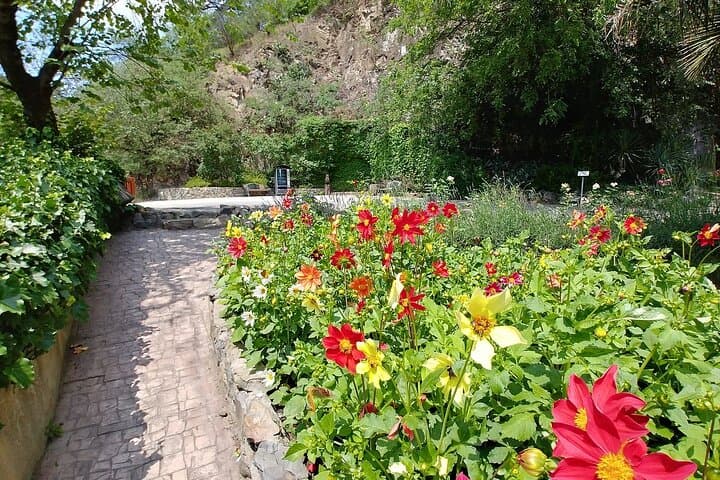 Explore Old Tbilisi: 3-Hour Walking Tour of Sameba, Sulfur Baths & Hidden Alleys photo 3