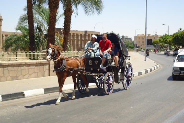 Evening Horse Carriage Ride and Walking Tour of Cairo's Riverfront photo 1