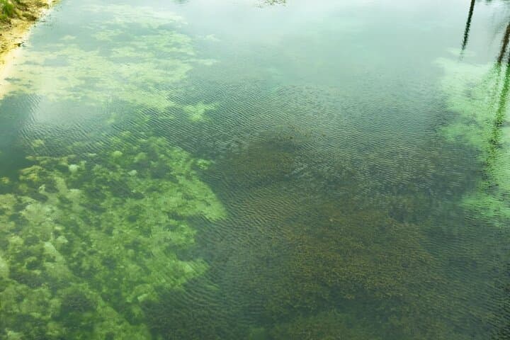 VIP Vortex Day: Springs Snorkeling & Waterpark Escape from Destin photo 2