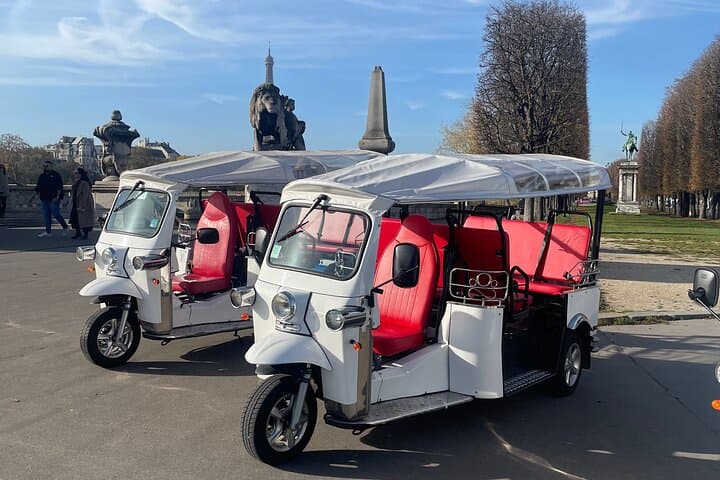 Paris by E-TukTuk: Private 2-Hour Electric City Tour from Place de la Concorde photo 1