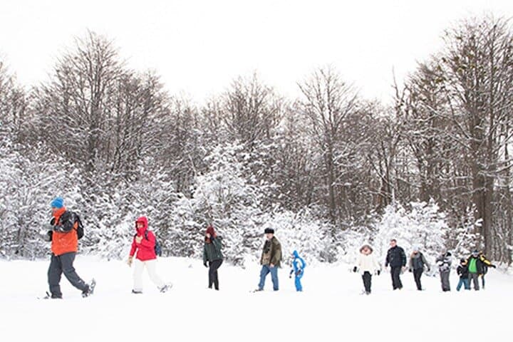 Full-Day Snowmobiling, Snowshoeing & Culipatin Adventure in Ushuaia photo 5