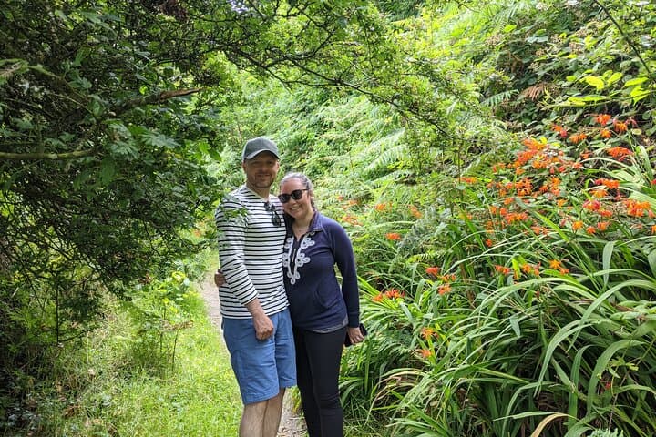 Coastal Foraging and Folklore Tour in Cork — Seaweed, Shellfish & Celtic Tales photo 4