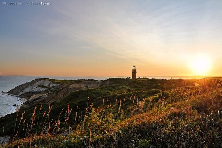 Martha's Vineyard 1-Day Escape from Boston — Ferry, Sightseeing & Island Free Time photo 4